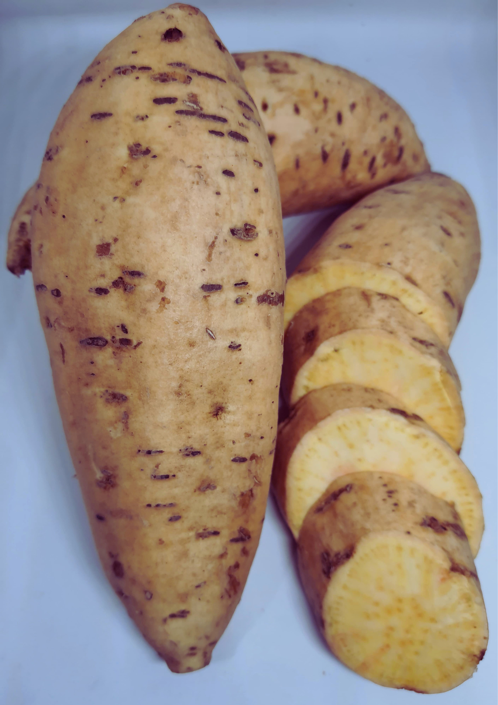 HONEY SWEET POTATO CILEMBU